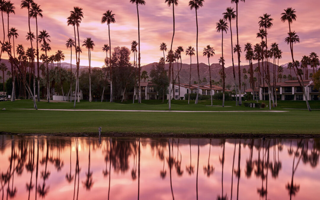 Vibrant Palm Springs