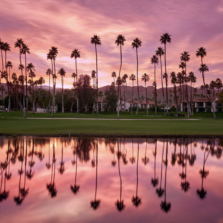 Vibrant Palm Springs